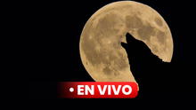 Luna llena enero 2025 en Venezuela: a qué hora y cómo ver la Luna del Lobo