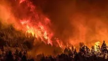 Fuertes incendios forestales afectan Argentina: Cerro de la Cruz y Parque Nahuel Huapi son consumidos por las llamas