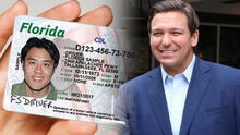 Excelentes noticias para trabajadores en EE. UU.: nueva Ley Ron DeSantis brinda la Licencia Universal en Florida