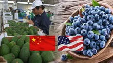 Perú conquista mercados de EE. UU. y China como principales compradores de arándanos y paltas: ¿a qué otros importantes países exporta?