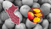 Piura, Lambayeque y Áncash son las regiones más afectadas por la sobreproducción de mango en 2025: representan el 95% de las cosechas