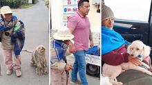 Tiktoker conmueve al ayudar a una adulta mayor y su fiel perrito: "Eres un verdadero influencer"