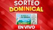 Resultados Sorteo Dominical EN VIVO HOY, 02 de febrero: números ganadores de la Lotería Nacional de Panamá vía TVN y Telemetro
