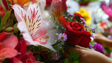 Feliz San Valentín: estas son las flores que puedes regalar a tu pareja este 14 de febrero
