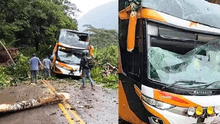 Pasajeros salvan de morir luego de que árbol caiga sobre bus de Movil Bus en Pasco