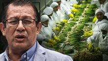 Congreso busca acelerar la aprobación de Ley Chlimper 2.0 que beneficia a grandes agroexportadoras