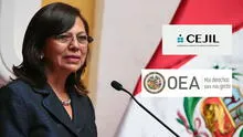Cuestionan postulación de Perú a la Secretaría General Adjunta de la OEA por sus constantes ataques a los derechos humanos Cuestionan postulación de Perú a la Secretaría General Adjunta de la OEA por sus constantes ataques a los derechos humanos