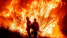 ¡Atención, residentes de Florida! Funcionarios advierten sobre temporada crítica de incendios forestales y piden tomar precauciones