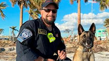 Héroe canino en California: El perro que fue abandonado en el desierto, pero terminó rescatado y entrenado en FEMA