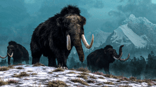 Científicos descubren al mamut lanudo más antiguo de América del Norte como parte de un importante estudio de ADN