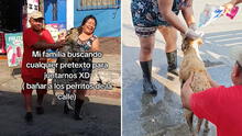 Familia conmueve en redes al reunirse para bañar a perritos callejeros y darles amor: "Hermoso gesto"