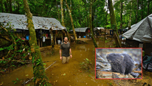 Investigadores descubren un ratón que nada y otras especies sorprendentes en la selva peruana