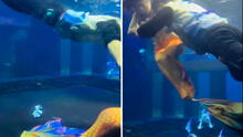 Mujer disfrazada de sirena se desmaya en plena actuación y su compañero entra al agua para rescatarla