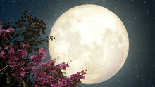 Calendario lunar de mayo: cuándo habrá luna llena este mes y ver todas las fases lunares