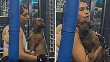 Joven llevó a su perrito al gimnasio y sorprende a usuarios con insólita razón: “Vio a su expapá”
