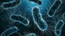 Asombroso avance científico: inteligencia artificial resuelve en dos días un misterio sobre superbacterias que tomó 10 años