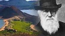 El país de América Latina que cautivó a Charles Darwin y donde unos animales pueden vivir más de 100 años