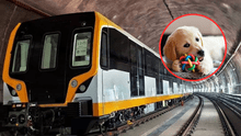 Buenas noticias para dueños de mascotas: Línea 2 del Metro ya permite llevarlas bajo ciertas condiciones