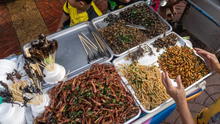 Tailandia es el líder mundial de insectos comestibles con un extraño negocio de grillos, orugas y escorpiones