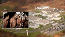 Pandilleros de la MS-13 apuñalan a tres oficiales penitenciarios dentro de una cárcel en Virginia