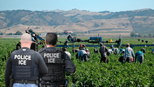 Redada de ICE en Nueva York: 14 trabajadores agrícolas migrantes fueron detenidos en autobús cuando iban camino a su empleo