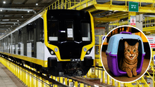 ¿Cuáles son los requisitos para viajar con una mascota en la Linea 2 del Metro de Lima?