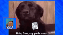 Copa Libertadores 2025: estos son los memes más divertidos de la derrota de Alianza Lima ante São Paulo