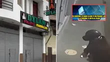 Delincuentes detonan explosivo en pollería de Cajamarca y amenazan a propietario: "La próxima te meto al pecho"