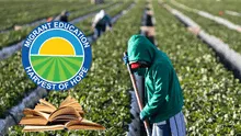 Texas ofrece apoyo educativo a hijos de inmigrantes: conoce cómo acceder a este programa y qué requisitos necesitas