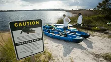 Mujer muere tras ser atacada por un caimán que volcó su canoa mientras estaba remando con su esposo en Florida