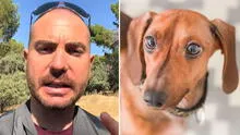 Adiestrador revela por qué saludar a tu perro al llegar a casa podría ser perjudicial: “Que no te extrañe un infarto”