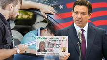 Esta ley firmada en Florida por Ron DeSantis impone fuerte sanción a las licencias de conducir de otros estados