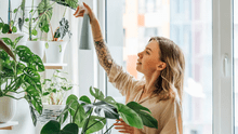 ¿Qué revela la psicología sobre tener muchas plantas en casa? Impacto en tu bienestar emocional