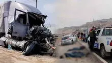 Terrible accidente de tránsito en Ventanilla deja un adulto mayor y un perrito fallecido: tráiler se despistó en avenida Néstor Gambetta