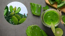 Esta es la razón por la que el jugo de nopal es perfecto para regular el azúcar y reducir el colesterol