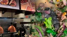Clienta encuentra roedor muerto en plato de almuerzo de un conocido restaurante de Estados Unidos