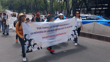 Aumentan los crímenes contra madres buscadoras en México: 19 víctimas en seis años