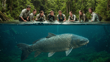 Científicos en Argentina identifican una nueva especie de pez gigante jamás visto: es capaz de resistir prolongadas sequías Científicos en Argentina identifican una nueva especie de pez gigante jamás visto: es capaz de resistir prolongadas sequías