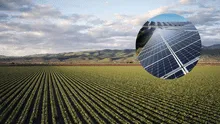 Agricultor transforma su vida alquilando sus tierras a plantas solares: de 100 a 1.900 euros por hectárea