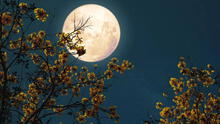 Luna llena de mayo 2025 en Venezuela: horario y cómo ver la luna de flores, según NASA