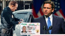 Florida: ley firmada por Ron DeSantis sanciona a los conductores con altas penas si no cumplen esencial requisito vehicular Florida: ley firmada por Ron DeSantis sanciona a los conductores con altas penas si no cumplen esencial requisito vehicular