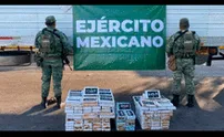 Golpe al narcotráfico en México: decomisan drogas valorizadas en más de 4.000 millones de pesos en estos estados