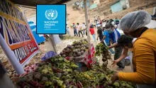 Inseguridad alimentaria: Perú recuperó 8.000 toneladas de alimentos con ayuda de la ONU en el 2024
