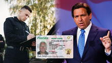 Esta es la ley firmada por Ron DeSantis que ordena a un oficial de Florida detener a un conductor si hace esto mientras maneja Esta es la ley firmada por Ron DeSantis que ordena a un oficial de Florida detener a un conductor si hace esto mientras maneja