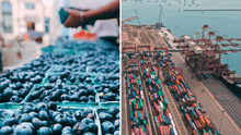 Agroexportaciones peruanas siguen creciendo en 2025: uvas y arándanos impulsan el sector que suma casi US$3.000 millones
