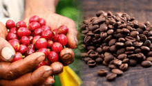 No es Colombia, este es el país con el mejor grano de café del mundo según ranking Taste Atlas 2025