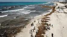 Playas de Florida y el Caribe en alerta por la llegada de 31 millones de toneladas de algas tóxicas