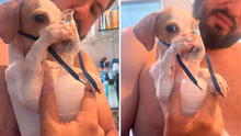 Llevan a nebulizar a perrito con enfermedad respiratoria y él mismo sostiene la mascarilla: "Ah, qué buena está"