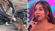 Dayanita indignada tras escándalo por quemar un cráneo humano: “Dijeron que había cometido un crimen"