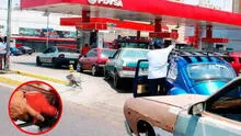 Gasolina subsidiada HOY en Venezuela 2025: cronograma para surtir combustible hasta el 26 de mayo y qué número de placa toca Gasolina subsidiada HOY en Venezuela 2025: cronograma para surtir combustible hasta el 26 de mayo y qué número de placa toca